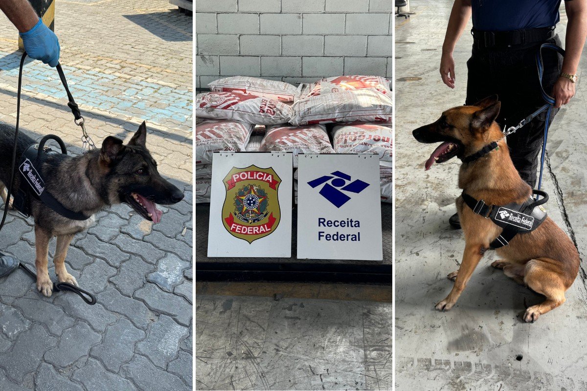 Receita Federal apreende quase meia tonelada de cocaína no Porto de Santos, SP