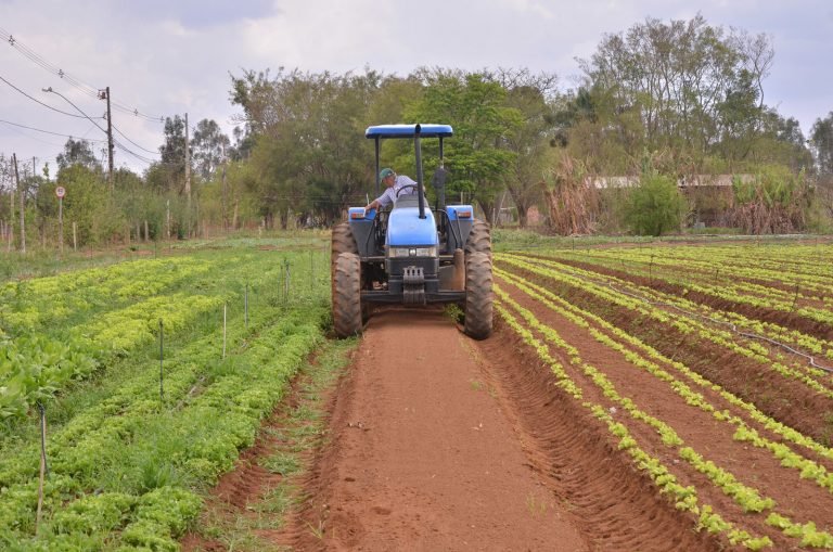 Nova lei garante mais recursos para crédito à agricultura familiar