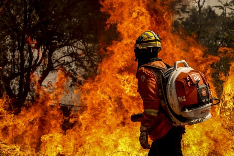 Impacto de incêndios florestais na emissão de carbono é tema de debate em comissão mista