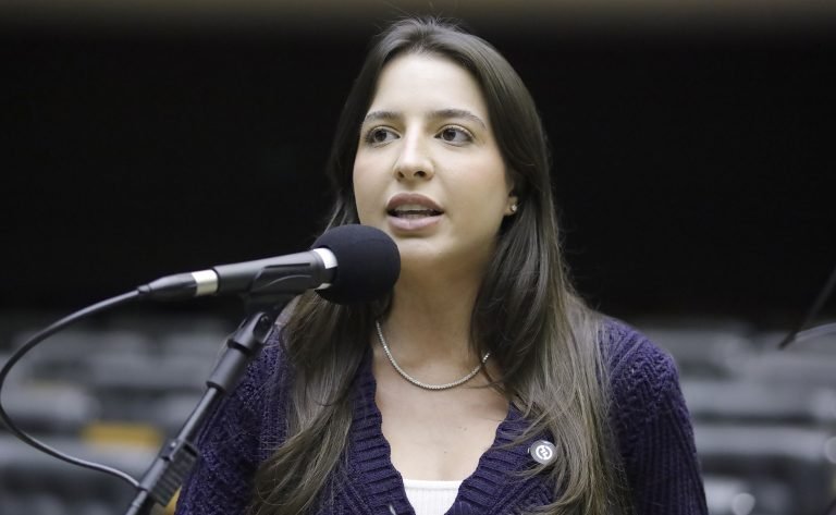 Câmara aprova projeto que inclui o Sistema Nacional de Adoção e Acolhimento no texto do ECA; acompanhe