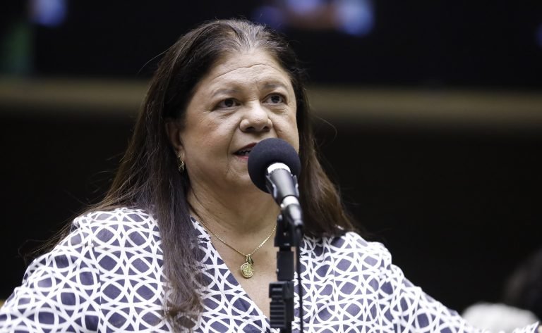 Comissão aprova projeto que prioriza famílias com crianças na assistência para construir moradia
