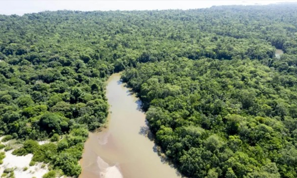 Por que Biden prometeu meio bilhão de dólares pra Amazônia e não cumpriu?