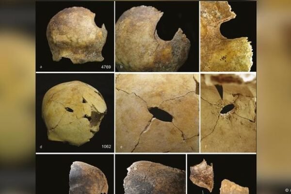 O misterioso canibalismo na Idade do Bronze britânica