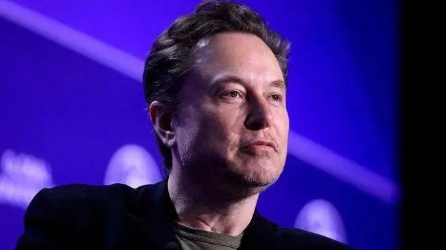 Musk endossa ultradireita alemã a dois meses da eleição