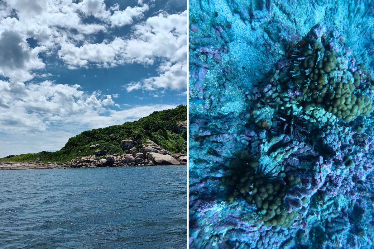 Serpentes da 2ª ilha com maior densidade de cobras do mundo encaram visitantes: ‘É sinistro’, diz biólogo