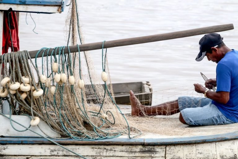 Comissão debate medidas do governo para agricultura familiar, populações tradicionais, pescadores artesanais e assentados