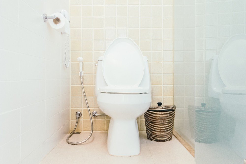 Deputada argentina propõe projeto de lei para declarar vaso sanitário como ‘lugar para a paz’