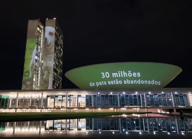 Congresso recebe projeção de imagens em apoio à adoção de animais abandonados