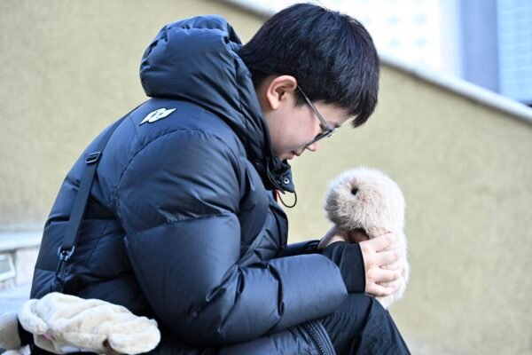 ‘Alguém para compartilhar momentos felizes’: chineses buscam apoio emocional em pets de IA