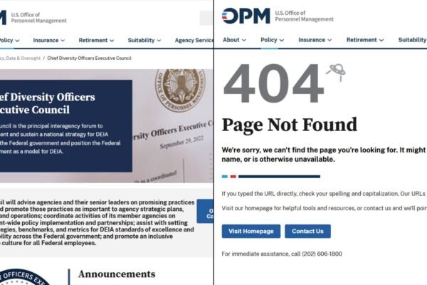 Em 1ª ação, departamento de Musk tira do ar site de agência pró-diversidade: ‘Progresso’