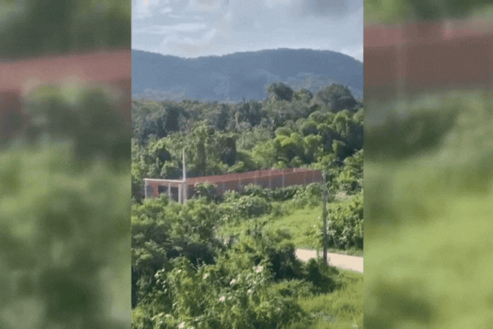 Criança fica ferida após explosão de construção em área de mata nativa; VÍDEO