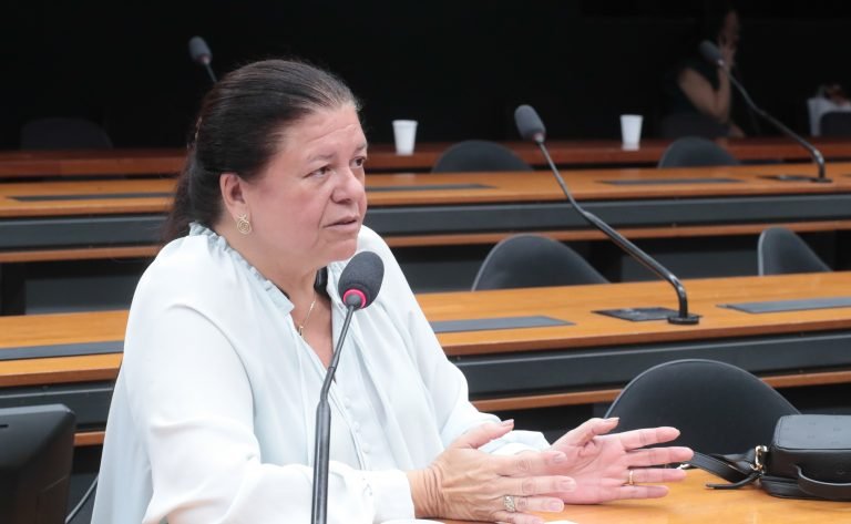 Comissão aprova projeto para criar título de renda fixa para incentivar serviços ambientais