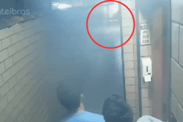 Homem invade apartamento, luta com moradora e pula pela janela; VÍDEO