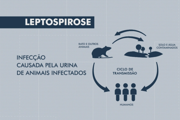 Leptospirose: Casos aumentam com enchentes no litoral de SP; veja como se proteger da doença