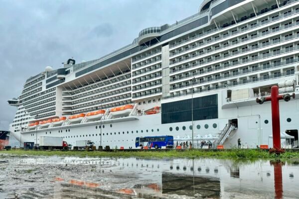 Entenda sobre o vírus de rápida mutação que infectou 127 passageiros em navio de cruzeiros