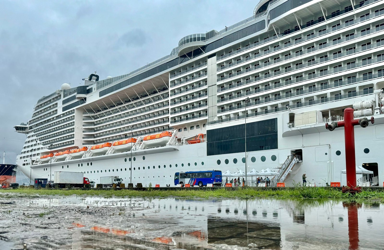 Entenda sobre o vírus de rápida mutação que infectou 127 passageiros em navio de cruzeiros