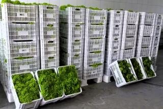 Banco de Alimentos de Itapecerica da Serra apresenta balanço de doações de janeiro