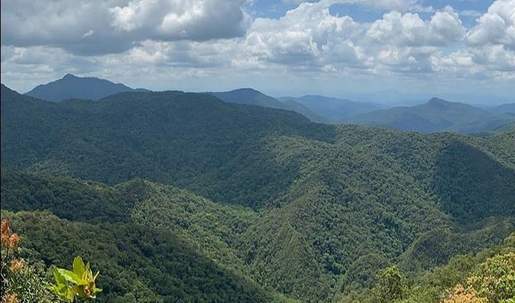 Lei altera limites do Parque Nacional da Serra do Itajaí, em Santa Catarina