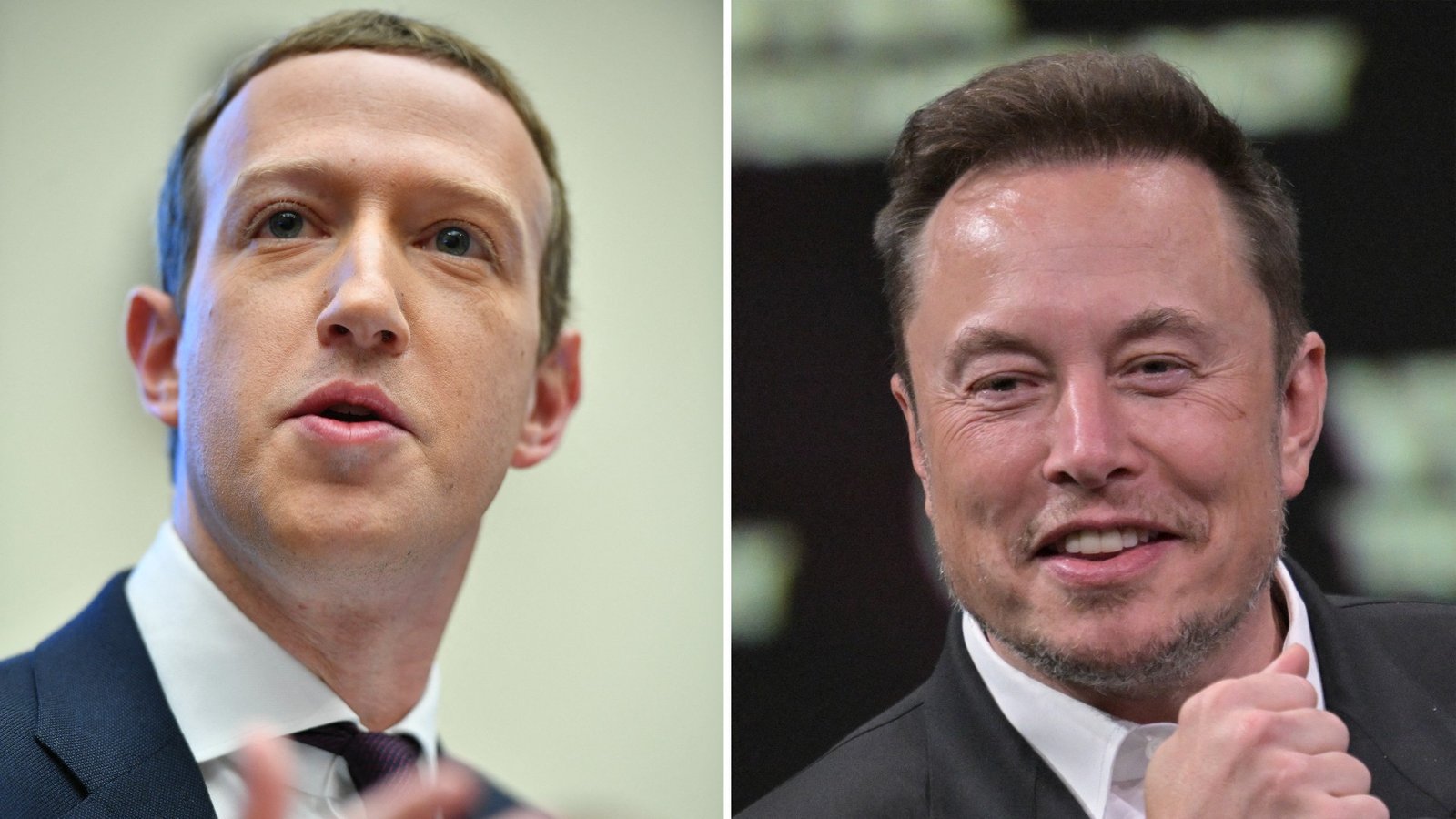 Musk elogia decisão da Meta de dar fim ao serviço de checagem de posts