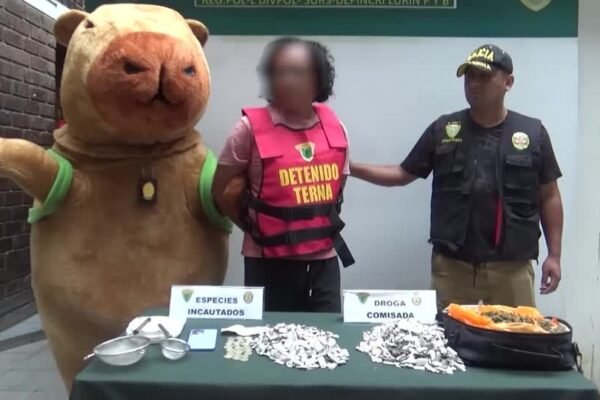 VÍDEO: Policial vestido de capivara prende suspeito de tráfico de drogas no Peru