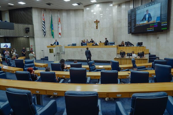 Violência infantil, atendimentos de emergência e invasões a prédios públicos estão entre temas do Plenário