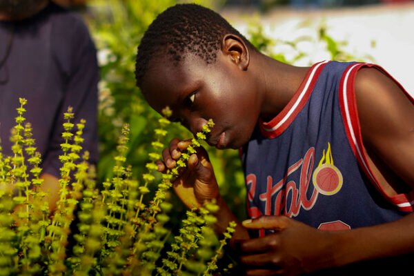 Horta urbana entra no circuito de visitação da Câmara
