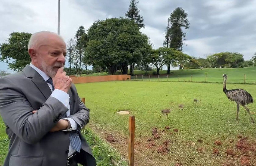 Deputado questiona consumo de ovos de ema e jabuti por Lula