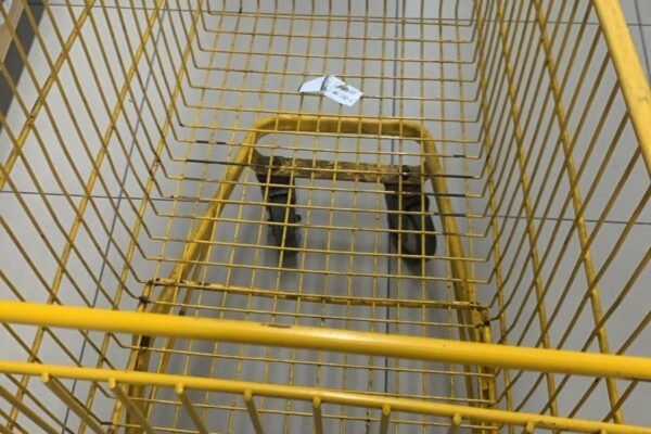 Meme: consumidor segue dicas de Lula e volta do supermercado com carrinho vazio
