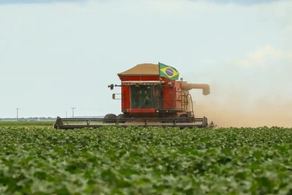 Proposta de reduzir impostos do agro divide governo Lula