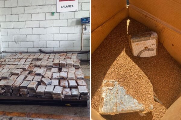 Receita Federal apreende mais de meia tonelada de cocaína em carregamento de café solúvel no Porto de Santos, SP