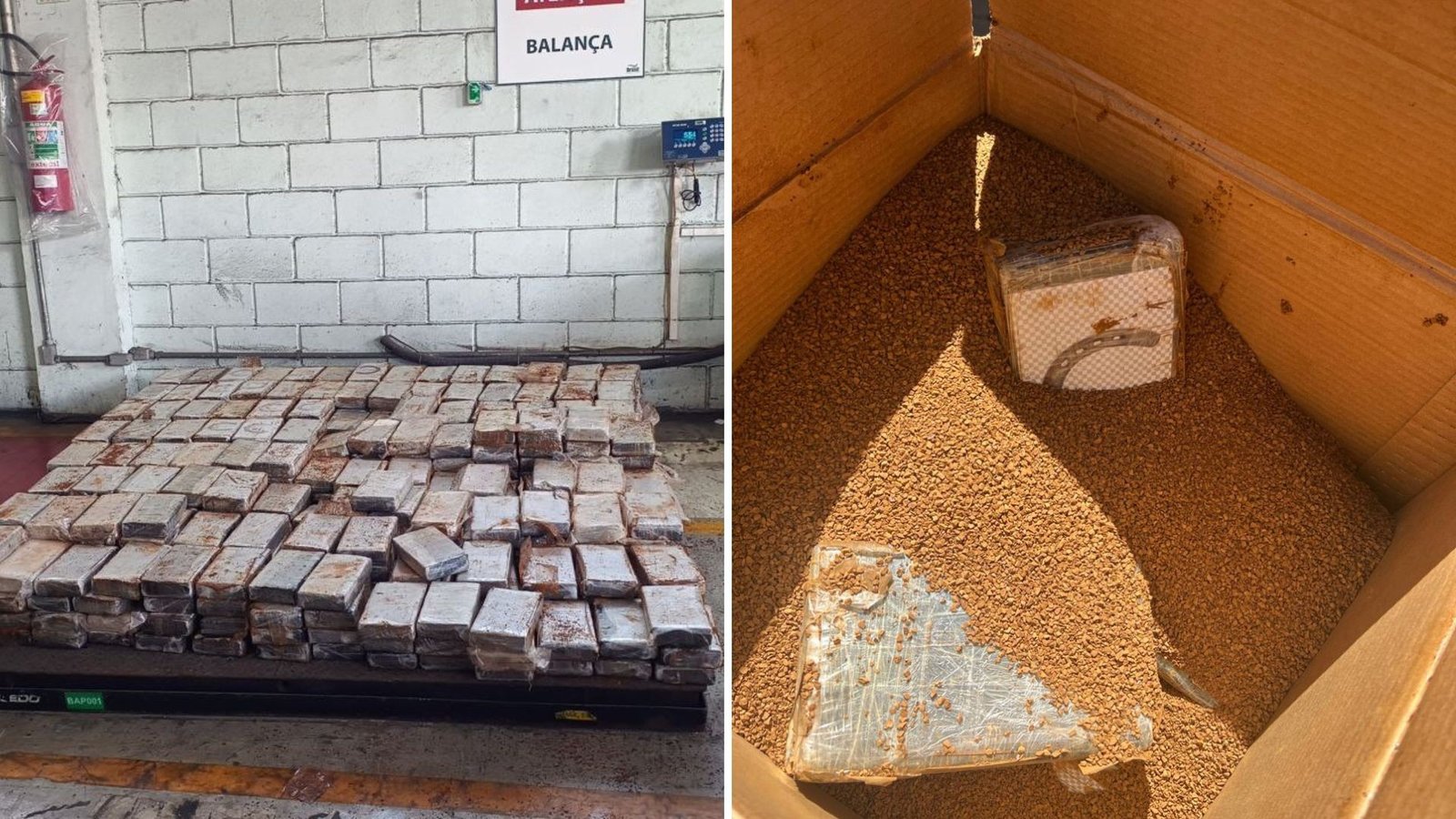 Receita Federal apreende mais de meia tonelada de cocaína em carregamento de café solúvel no Porto de Santos, SP