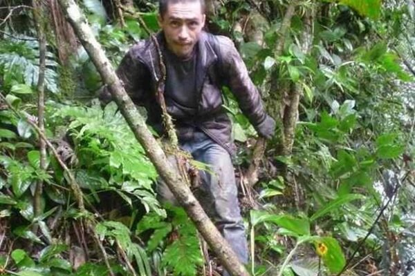Justiça declara morte de trilheiro que desapareceu há quase 10 anos na Serra do Mar: ‘Muita dor’, diz advogado