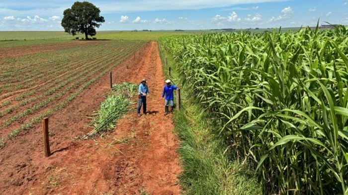 PIB do Centro-Oeste é o único a crescer no Brasil em 2025