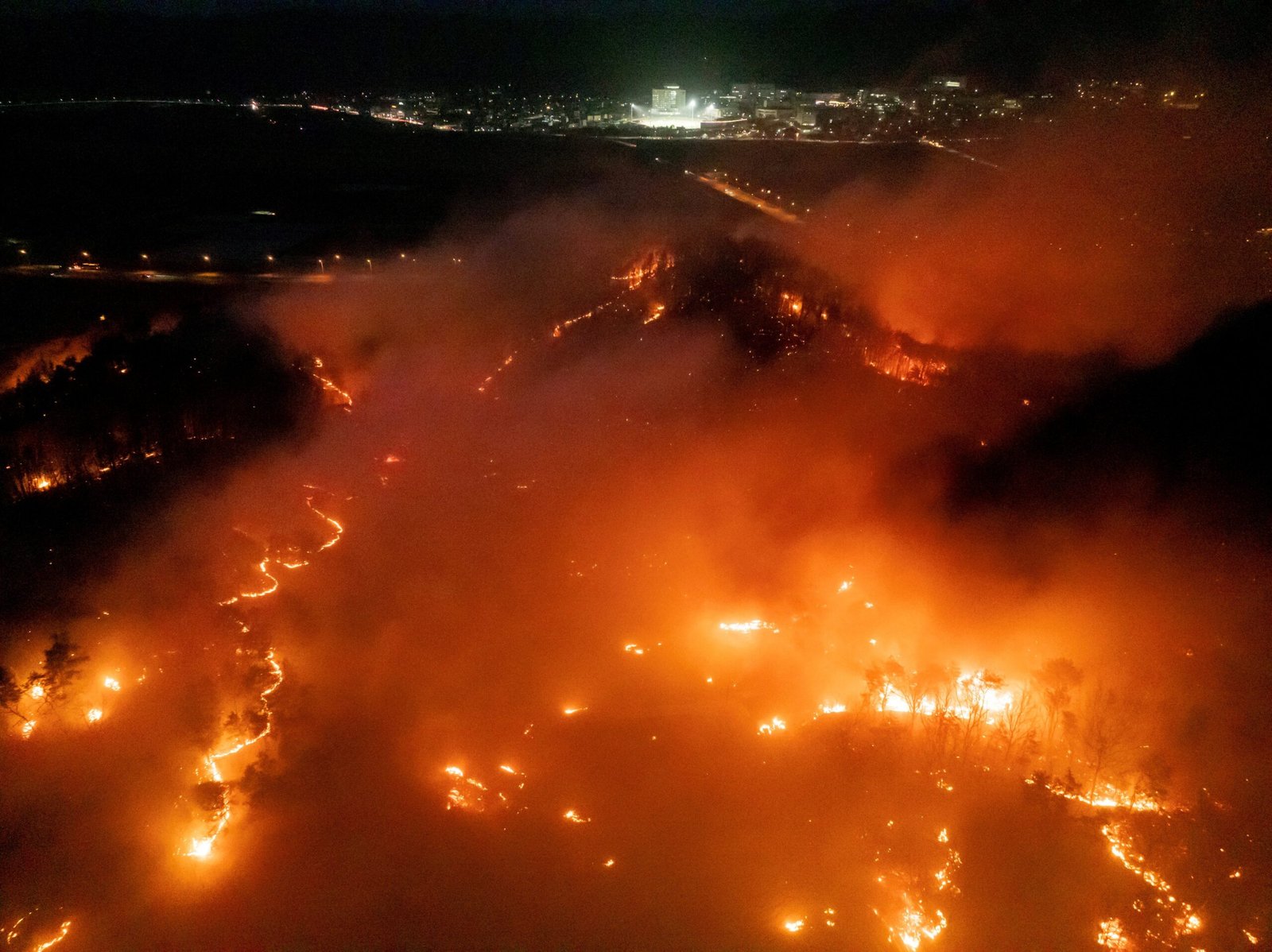 Incêndios florestais deixam 16 mortos na Coreia do Sul e forçam milhares a fugir de casa