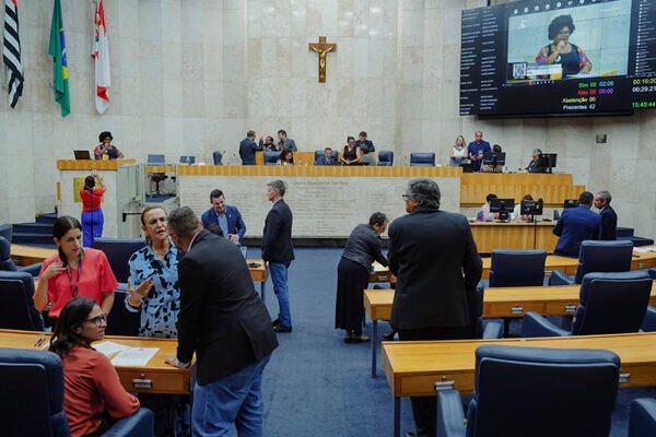 Sessão Plenária: Vereadores debatem temas sobre meio ambiente, população idosa e serviços públicos