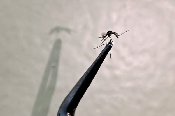 Baixada Santista vacinou apenas 23% do público-alvo contra a dengue em 2025 Baixada Santista vacinou apenas 23% do público-alvo contra a dengue em 2025