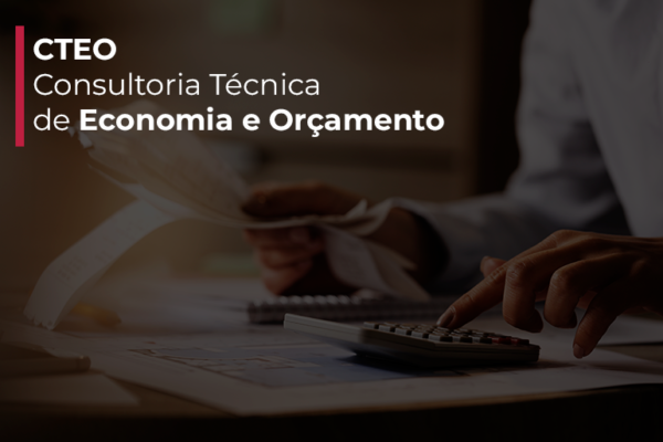 Questões orçamentárias da Câmara contam com apoio da consultoria técnica