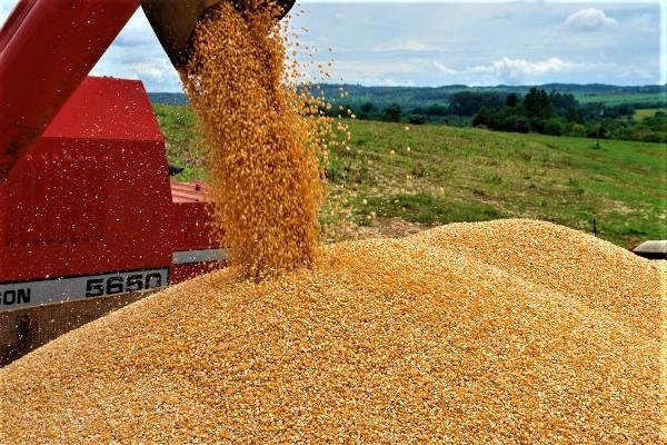 Setor agrícola critica medidas do governo Lula contra inflação de alimentos