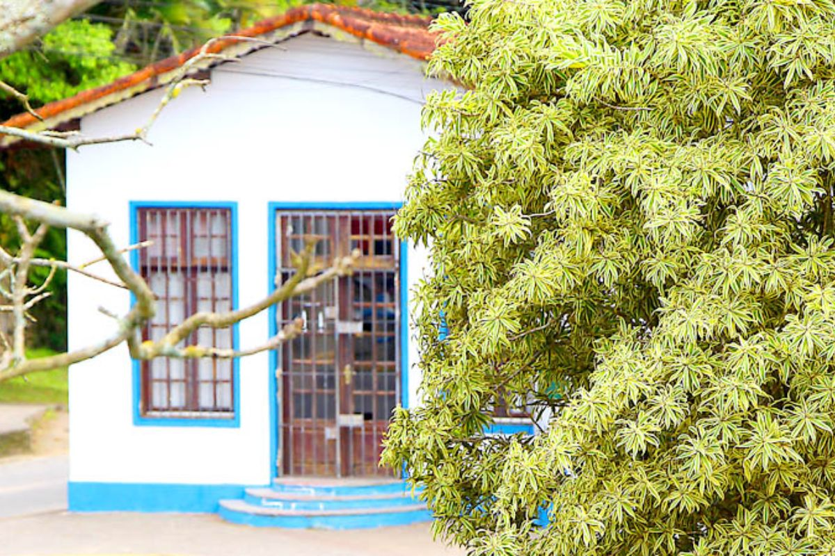 Livro do pintor Benedito Calixto sobre Itanhaém é relançado neste sábado