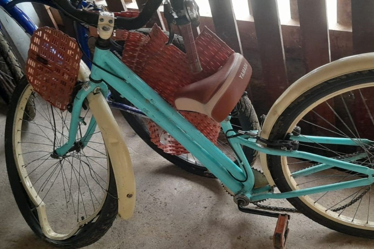 Charrete que atropelou e matou ciclista estava em corrida com outro veículo, diz testemunha