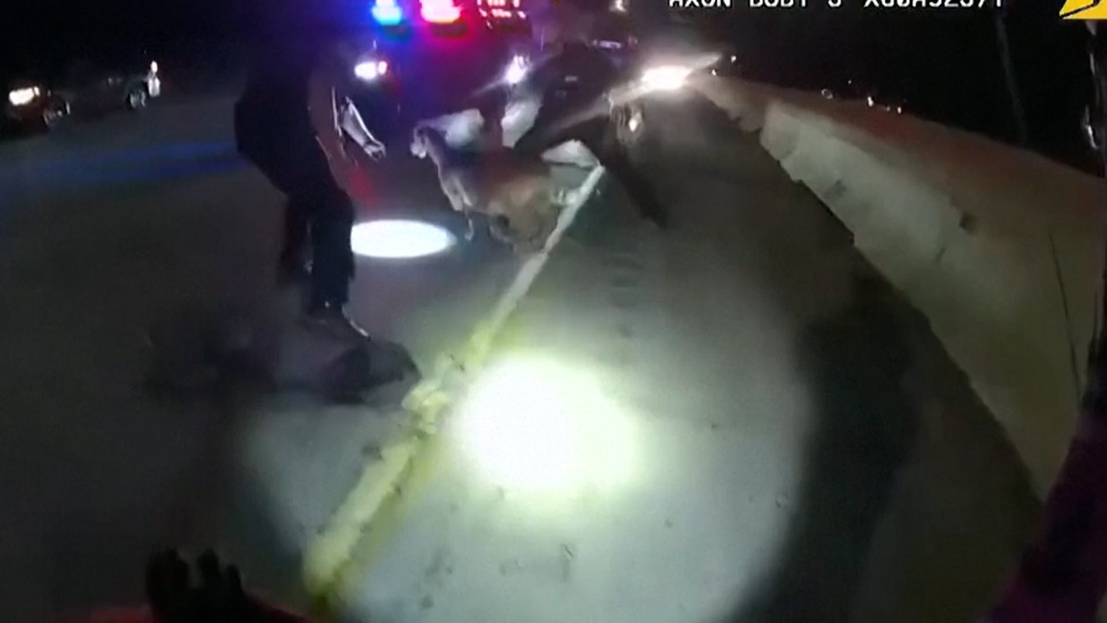 Cabra solta em rodovia nos EUA dá trabalho para policiais; VÍDEO mostra fuga e captura