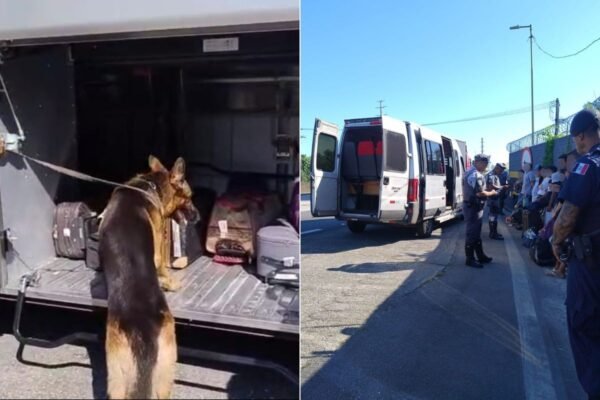 Passageiro de van é preso após cão farejador encontrar maconha em mochila; VÍDEO Passageiro de van é preso após cão farejador encontrar maconha em mochila; VÍDEO