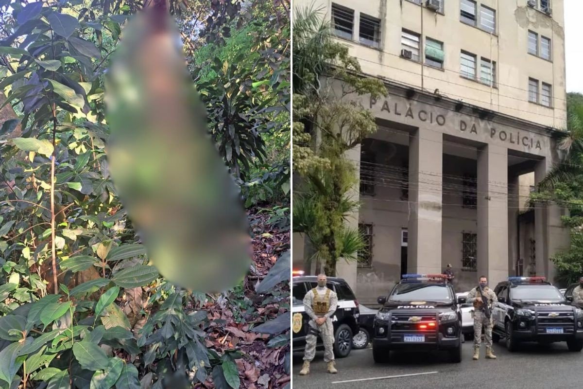 Homem é encontrado morto com fio no pescoço e amarrado a árvore no litoral de SP