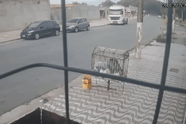 Vídeo mostra pedestres escapando de atropelamento após motorista de ônibus passar mal ao volante; ele morreu