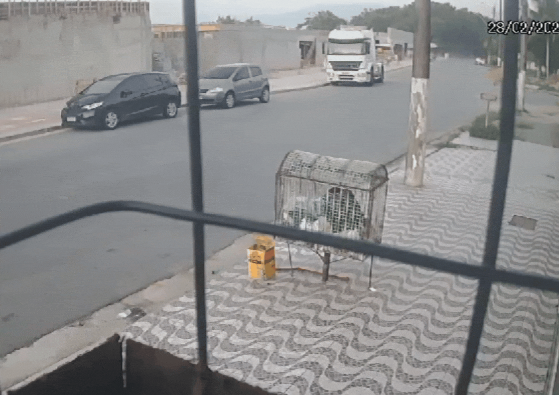 Vídeo mostra pedestres escapando de atropelamento após motorista de ônibus passar mal ao volante; ele morreu