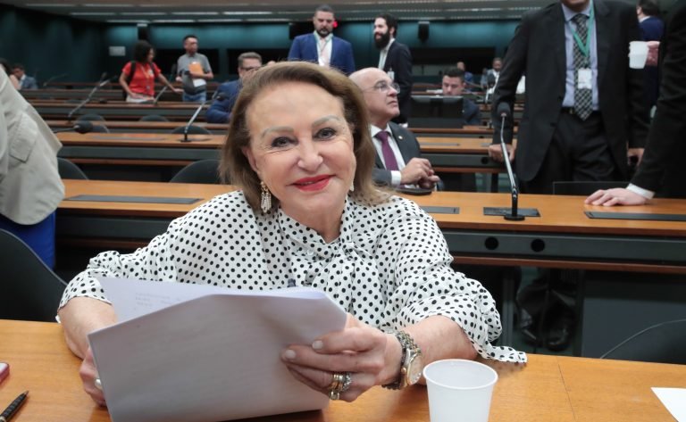 Elcione Barbalho é eleita presidente da Comissão de Meio Ambiente