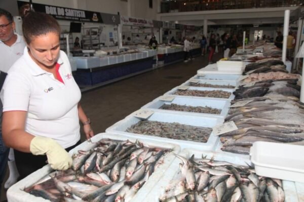 Mercado de Peixe em Santos, SP, realiza Festival da Sardinha até domingo
