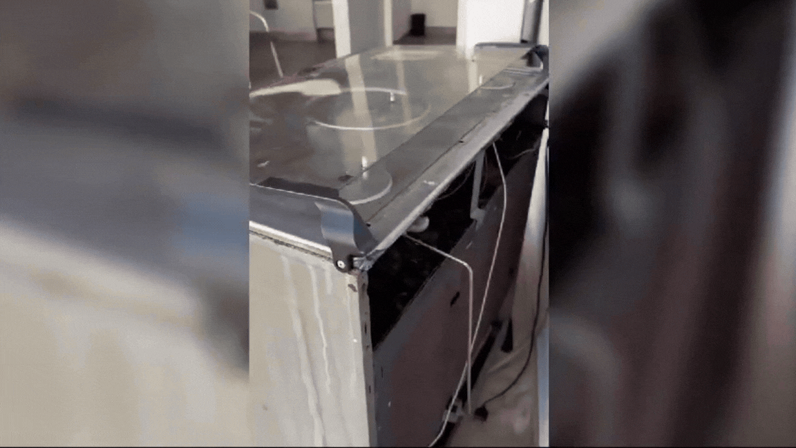 Família de saruês se ‘hospeda’ em fogão de cozinha no litoral de SP; VÍDEO