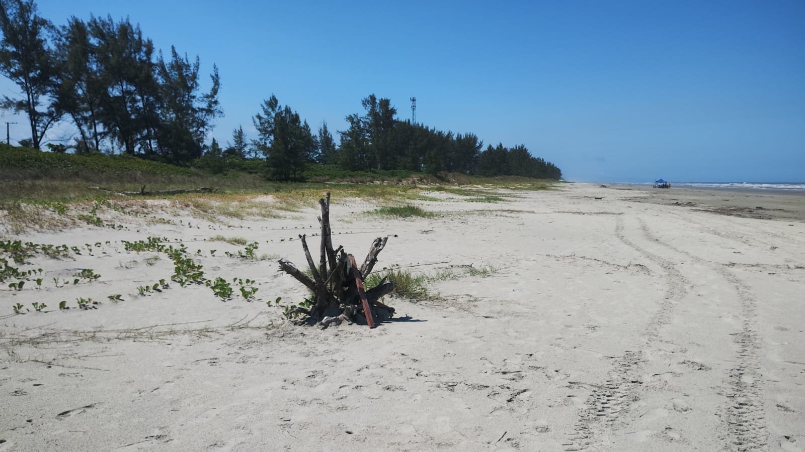 Jovem é estuprada durante caminhada noturna em praia do litoral de SP