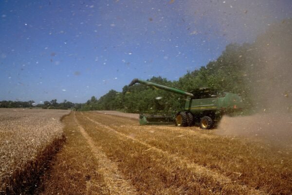 Agricultores dos EUA temem guerra comercial de Trump com a China: ‘Não podemos ser o bode expiatório’